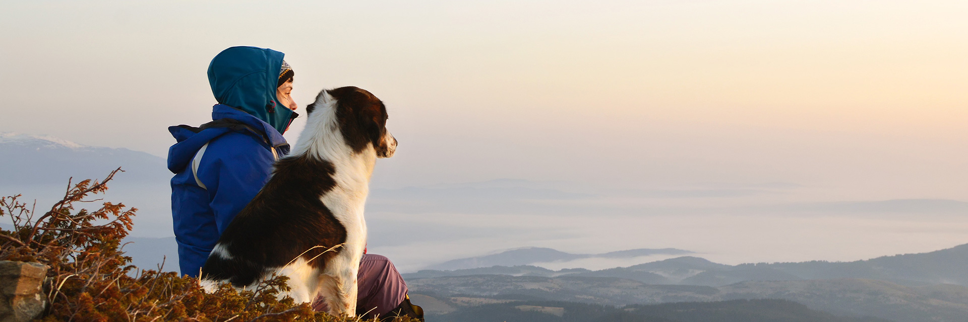 Ferienhausurlaub mit Hund in Bulgarien