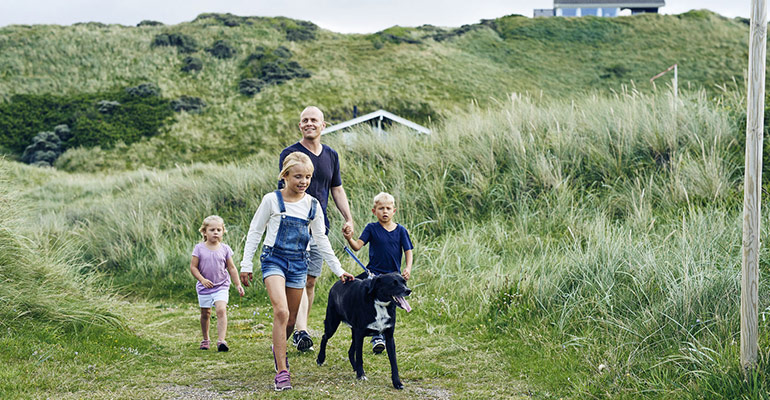 Urlaub mit Hund an der Nordsee in Dänemark