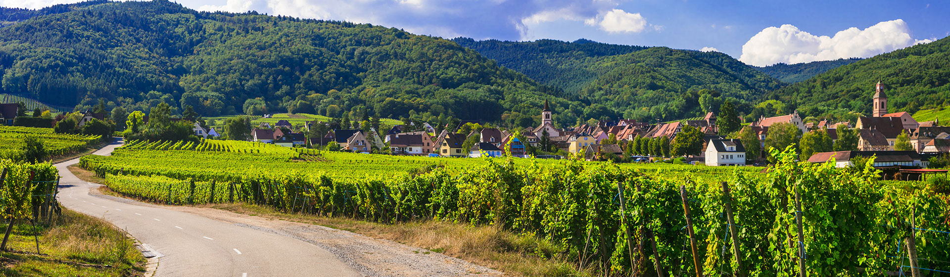 Elsass Weingebiet