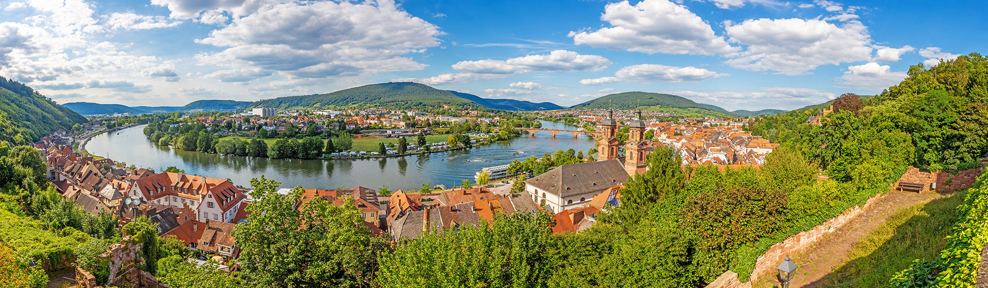 Franken Burg Miltenberg Panorama