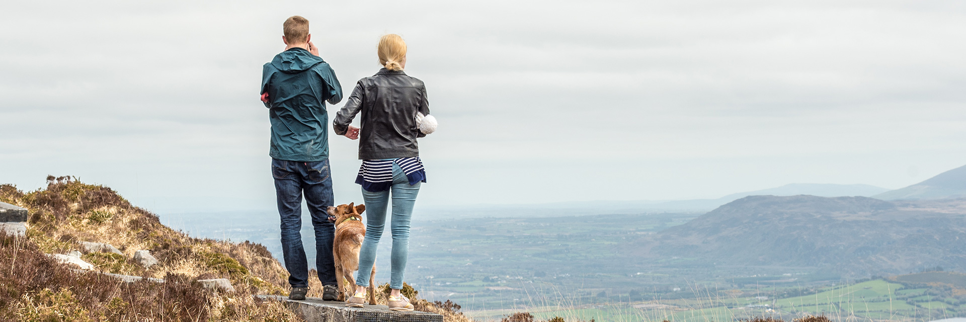 Ferienhausurlaub mit Hund in Irland