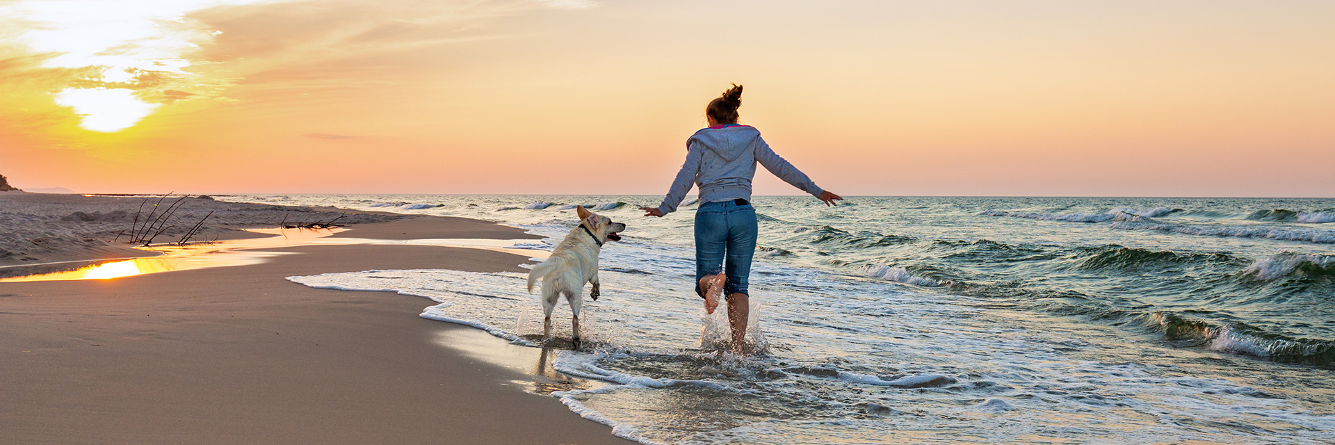 Ferienhausurlaub mit Hund in Polen